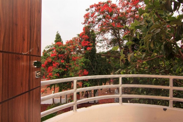 Strand Resort image 17